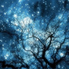 星