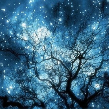 星