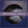 夜行動物