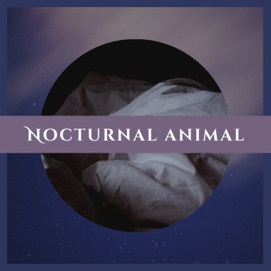 夜行動物