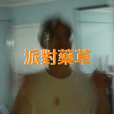 派對藥草