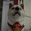 Tommy The Guard