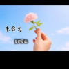 贝壳