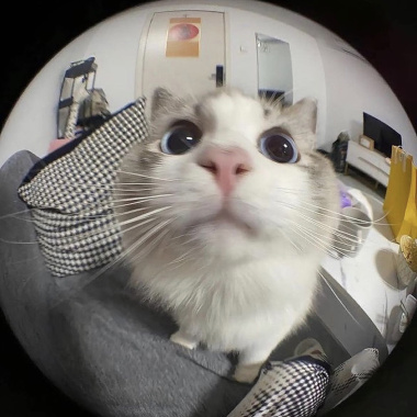 trust me (sped up)