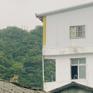 怎麼睡醒怎麼活