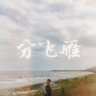分飛雁