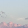 掃把星 (2024 Ver.)