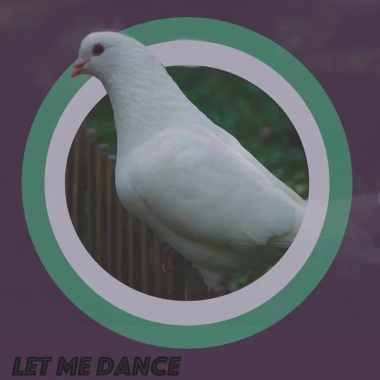 幻觉抗体 - let me dance