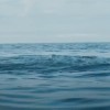 Out of The Water