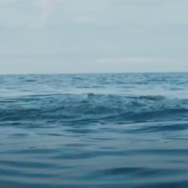 Out of The Water