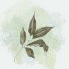 眼看愛情就要來了