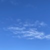 那天 demo