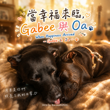 當幸福來臨，Gabee 與 Oa   When Happiness Arrived – Gabee & Oa