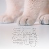 五時