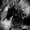 Message (Demo)