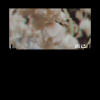 而已-试唱