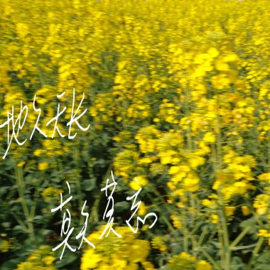地久天长莫失莫忘
