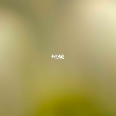 燃烧