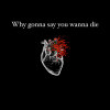 WGSYWD