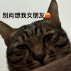別肖想我的女朋友