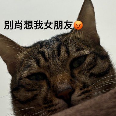 別肖想我的女朋友