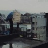 不想因你傷悲