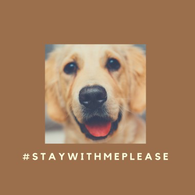 #staywithmeplease（´･ᴗ･`）