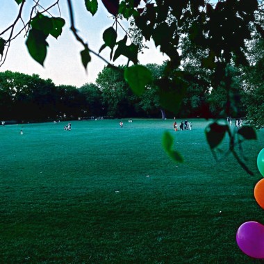 i am at fairy park