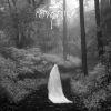 ภาพสะท้อน (Ost. หนังสือ ฝนที่ตกในใจฉัน)