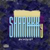 SHARKKKy -【430】
