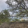 中廊下