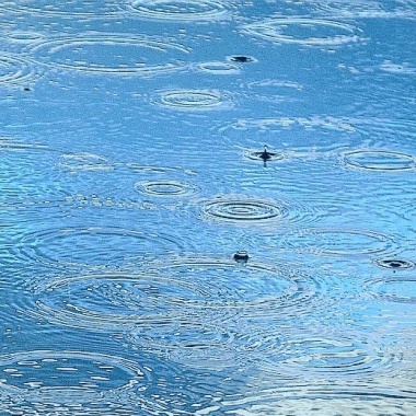 雨水惊蛰春分