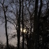 solitude for dance