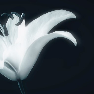 晨曦光廊（AuroraeSolarium）