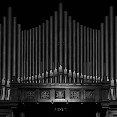 黑色管風琴 Black Organ