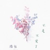 不是不愛了 (心碎練唱版)