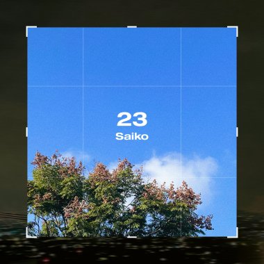 23