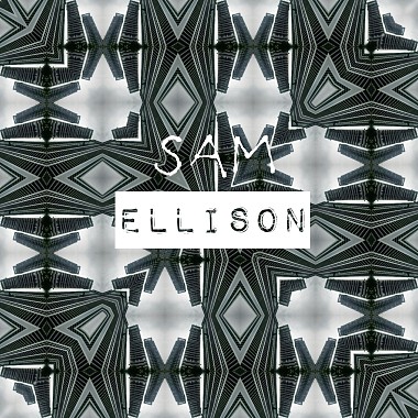 Sam Ellison - Damp
