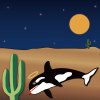 Orca