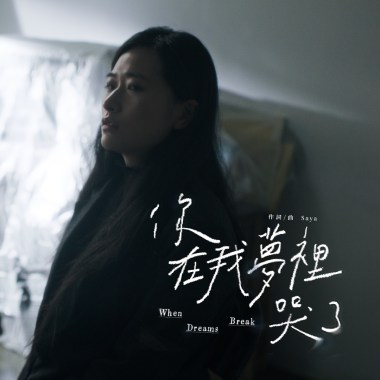 你在我夢裡哭了mp3