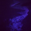 Night Rain_Demo (Lead vocal, gtr, GuitarPro7)