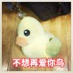 不想再爱你了