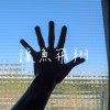 讓魚飛翔