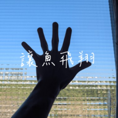 讓魚飛翔