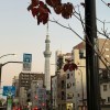 等風也等妳