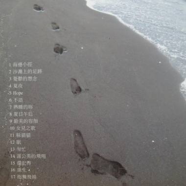 2沙灘上的足跡