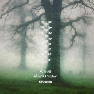 A Tree Afraid of Water(怕水的树)