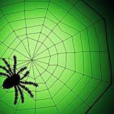 夢想的蜘蛛網