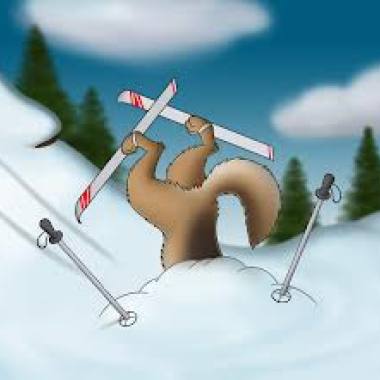 滑雪趣 (SKI FUN)