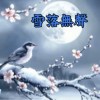 雪落無聲